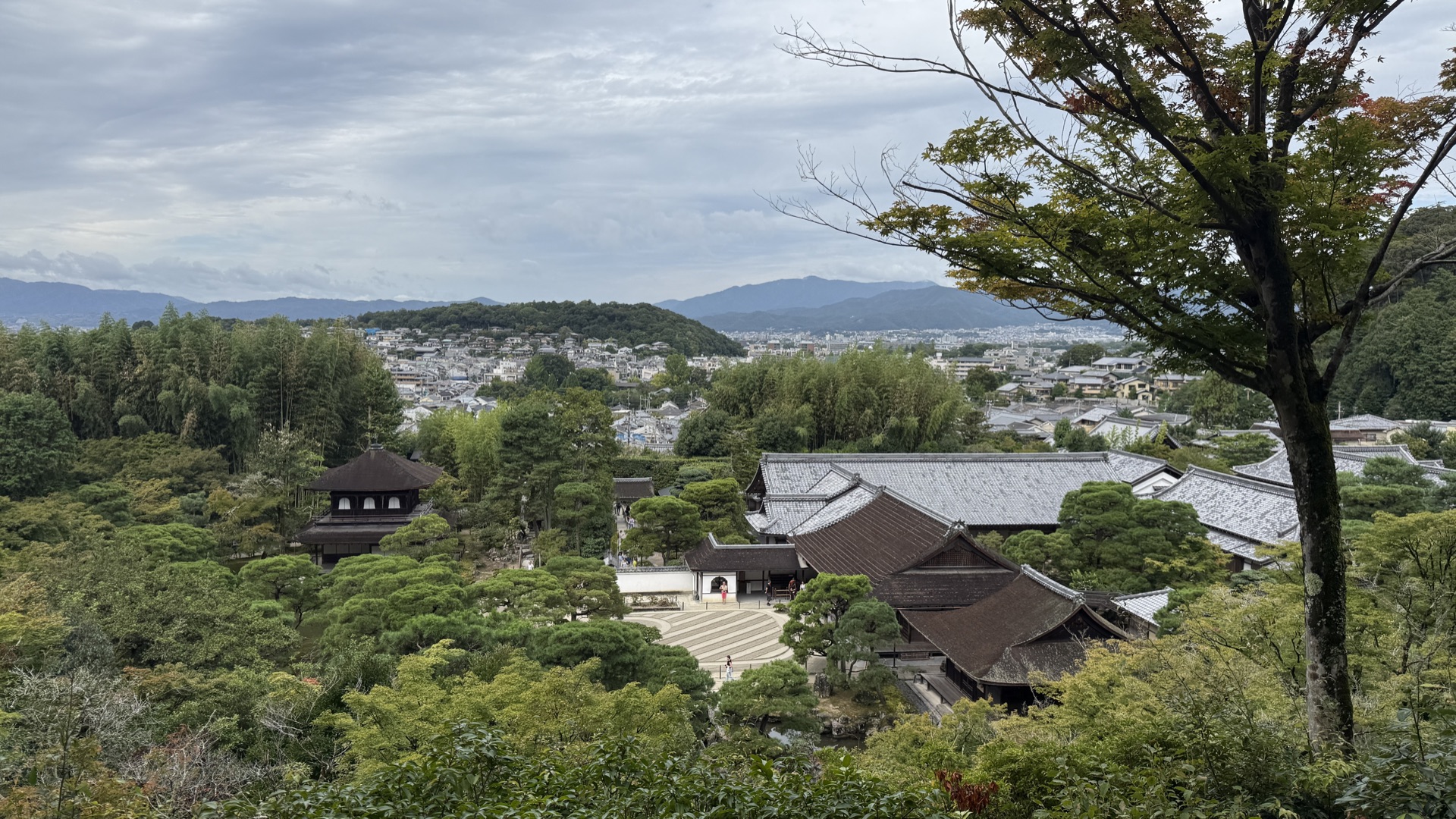 銀閣寺觀音殿深色木造二層建築,白牆黑瓦,周圍是水池與松樹