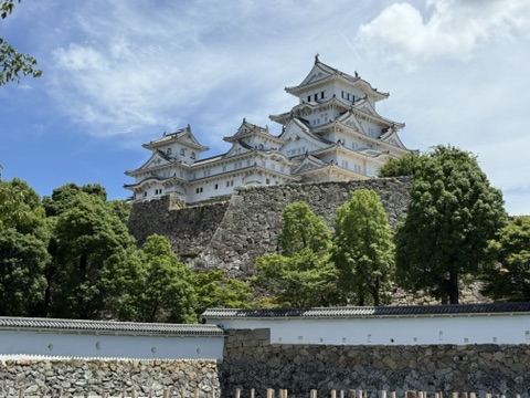 從外苑公園遠望姬路城天守閣,白色城樓在綠樹與藍天之間清晰可見