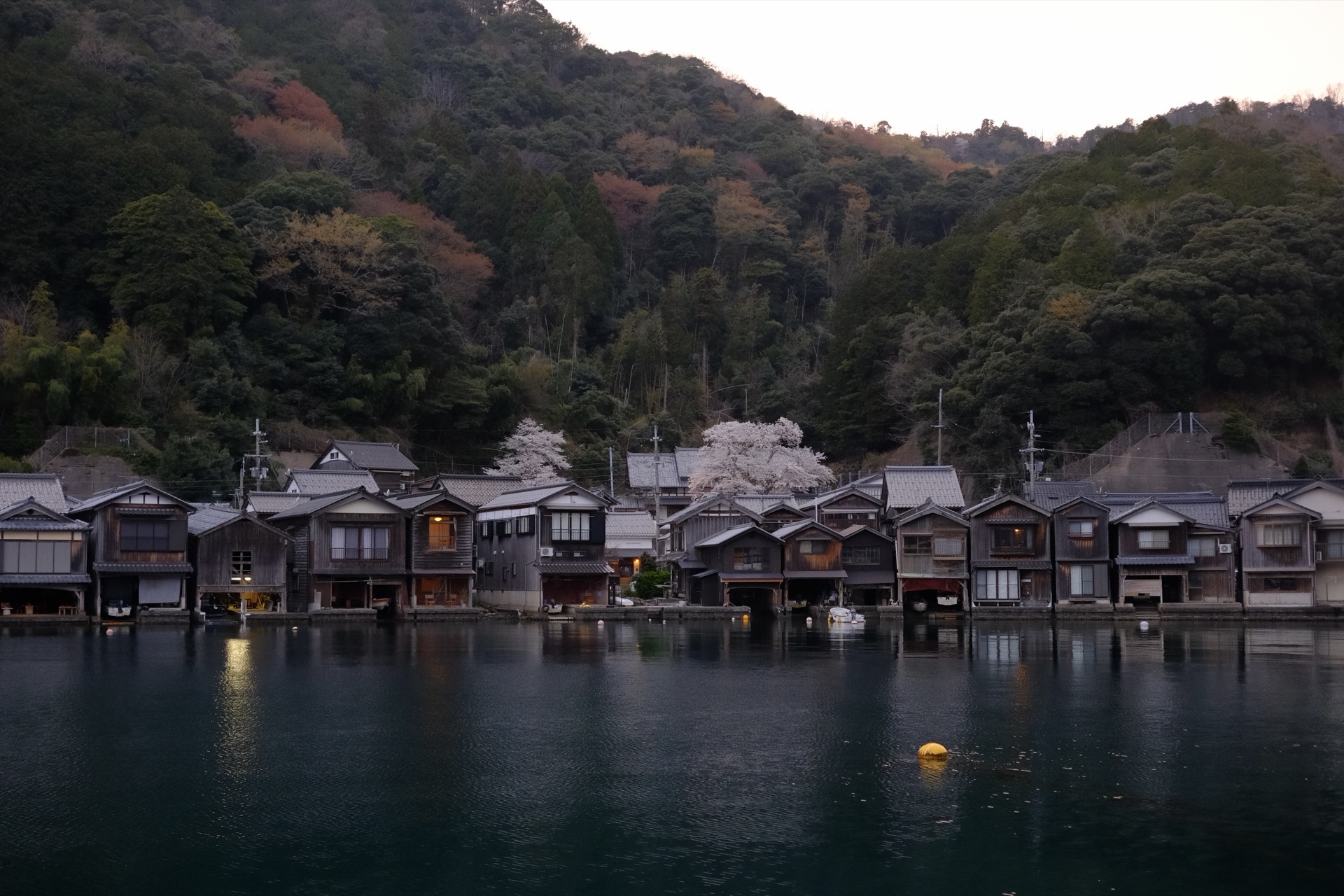 伊根舟屋黃昏與櫻花
