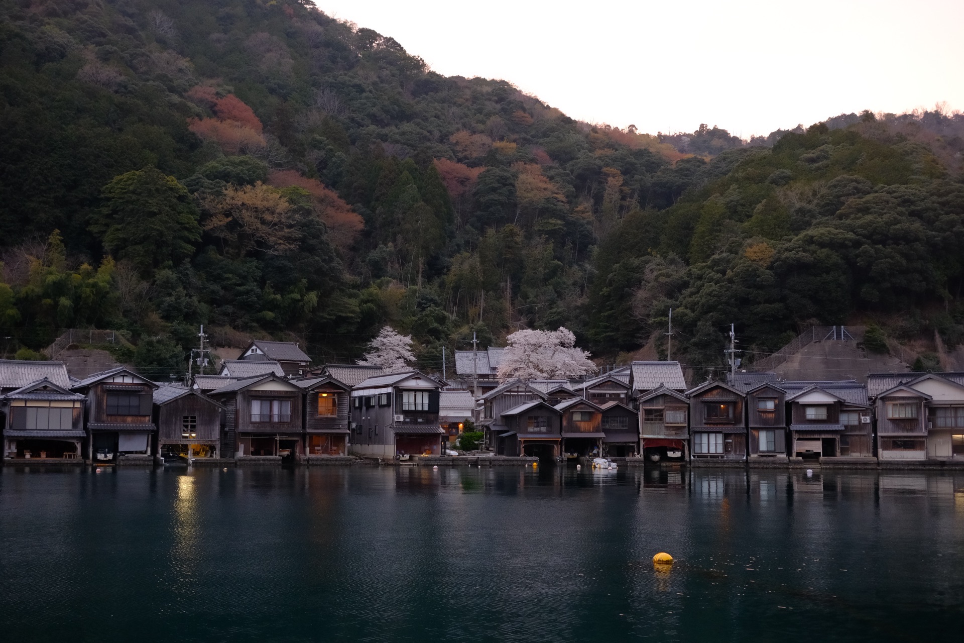 伊根舟屋黃昏與櫻花