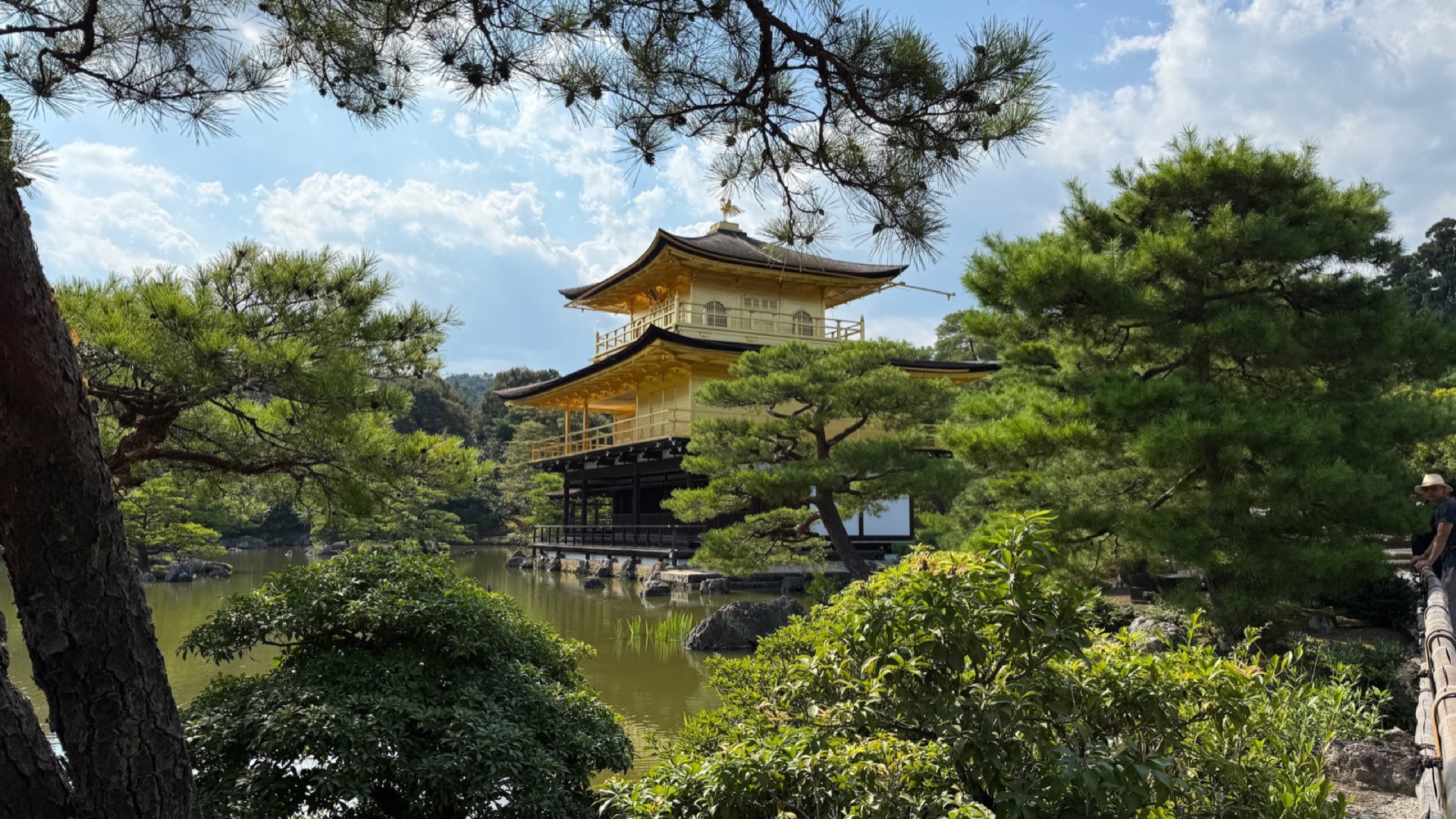 夏日晴天,金閣寺被松樹枝椏框住,鏡湖池倒映著金色樓閣