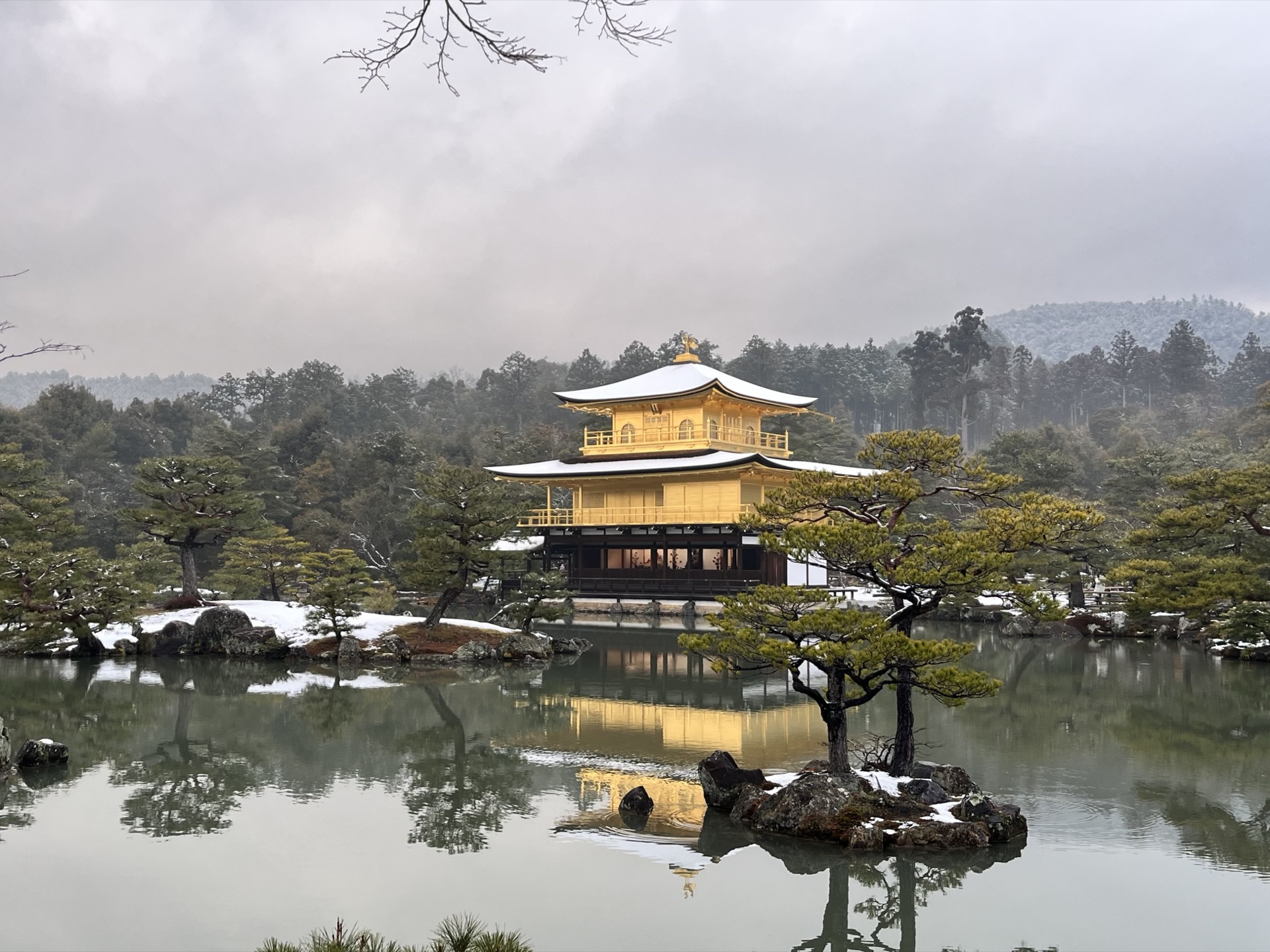 夏日晴天,金閣寺被松樹枝椏框住,鏡湖池倒映著金色樓閣