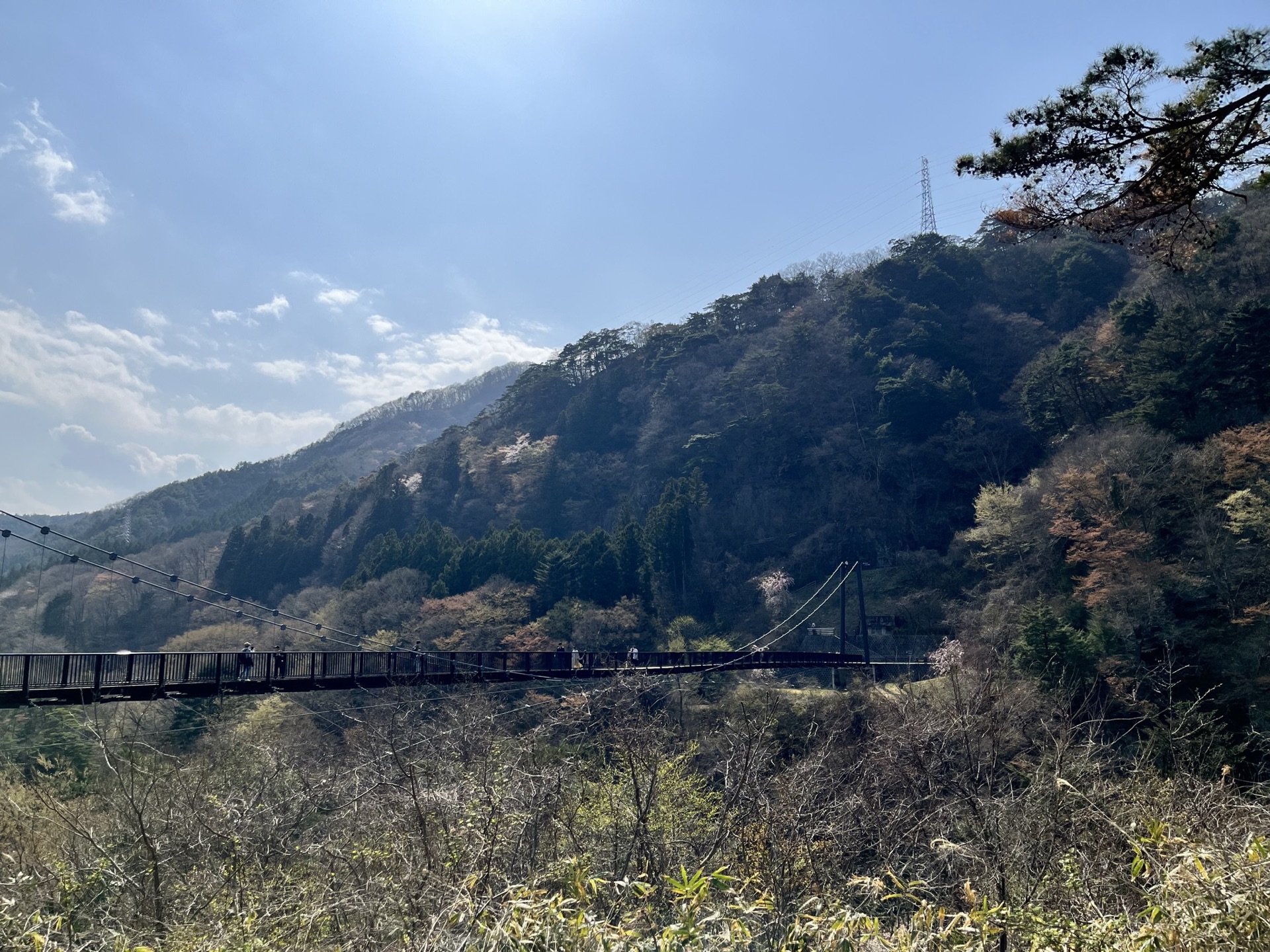 鬼怒川溫泉站前廣場,前景是手持棒槌的鬼怒太青銅雕像,背景為群山與溫泉旅館街