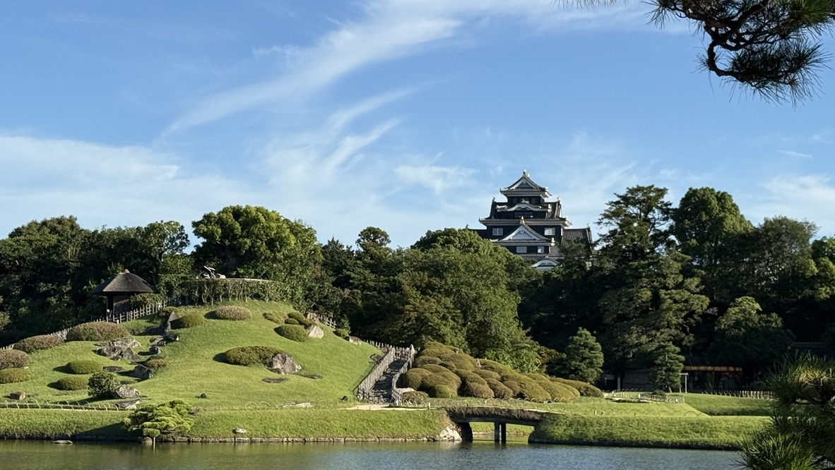 從後樂園水池遠眺，草丘與松樹後方，黑色的岡山城天守閣在藍天下清晰可見