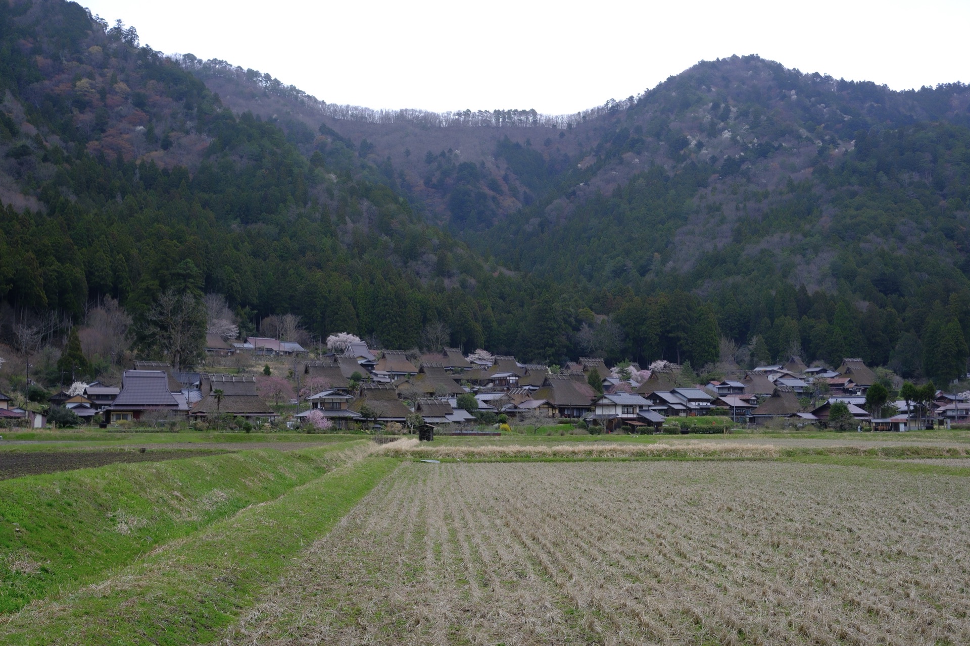 京都美山かやぶきの里全景,茅草屋頂與山景