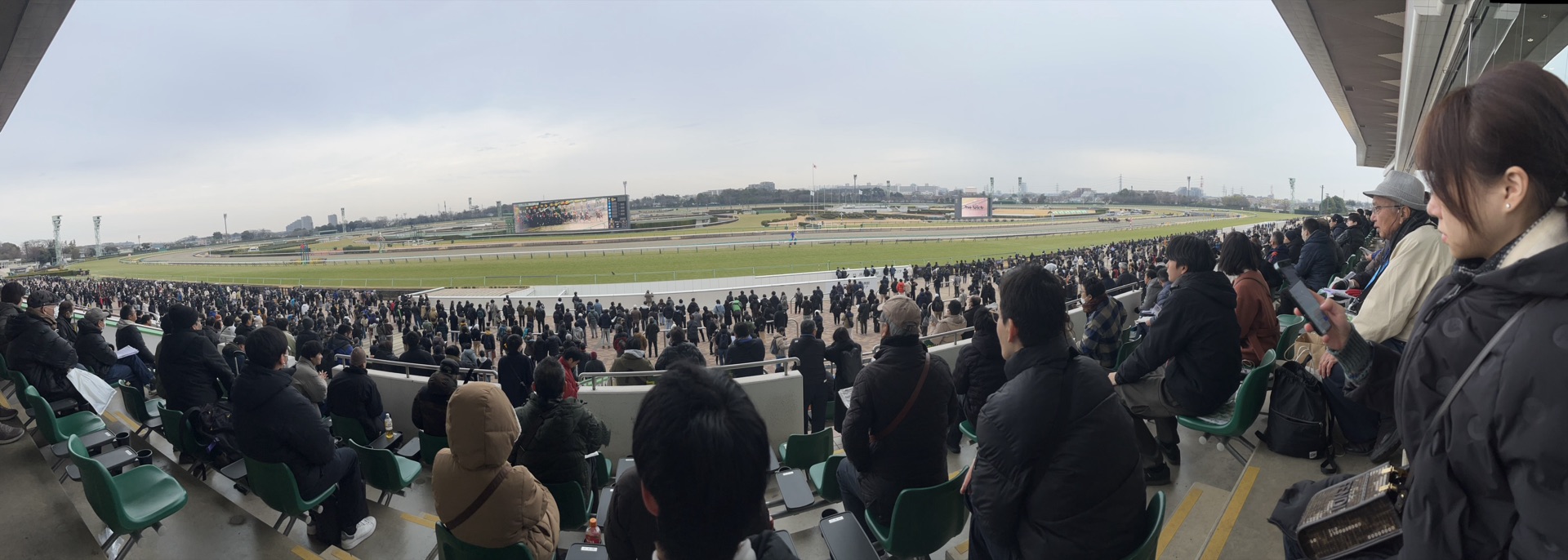 中山競馬場從看台往下望的全景,觀眾席、跑道與大型記分板一覽無遺