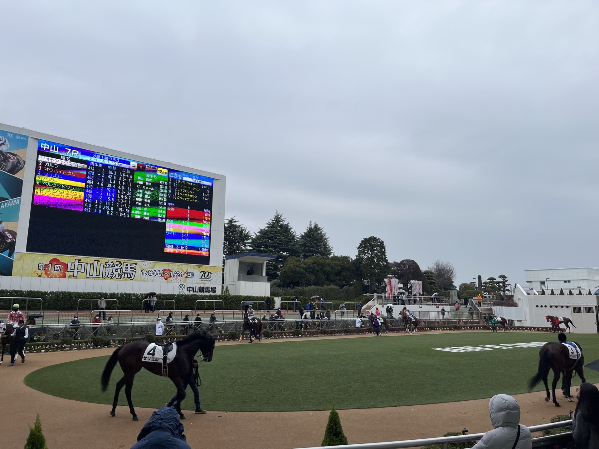 中山競馬場從看台往下望的全景,觀眾席、跑道與大型記分板一覽無遺