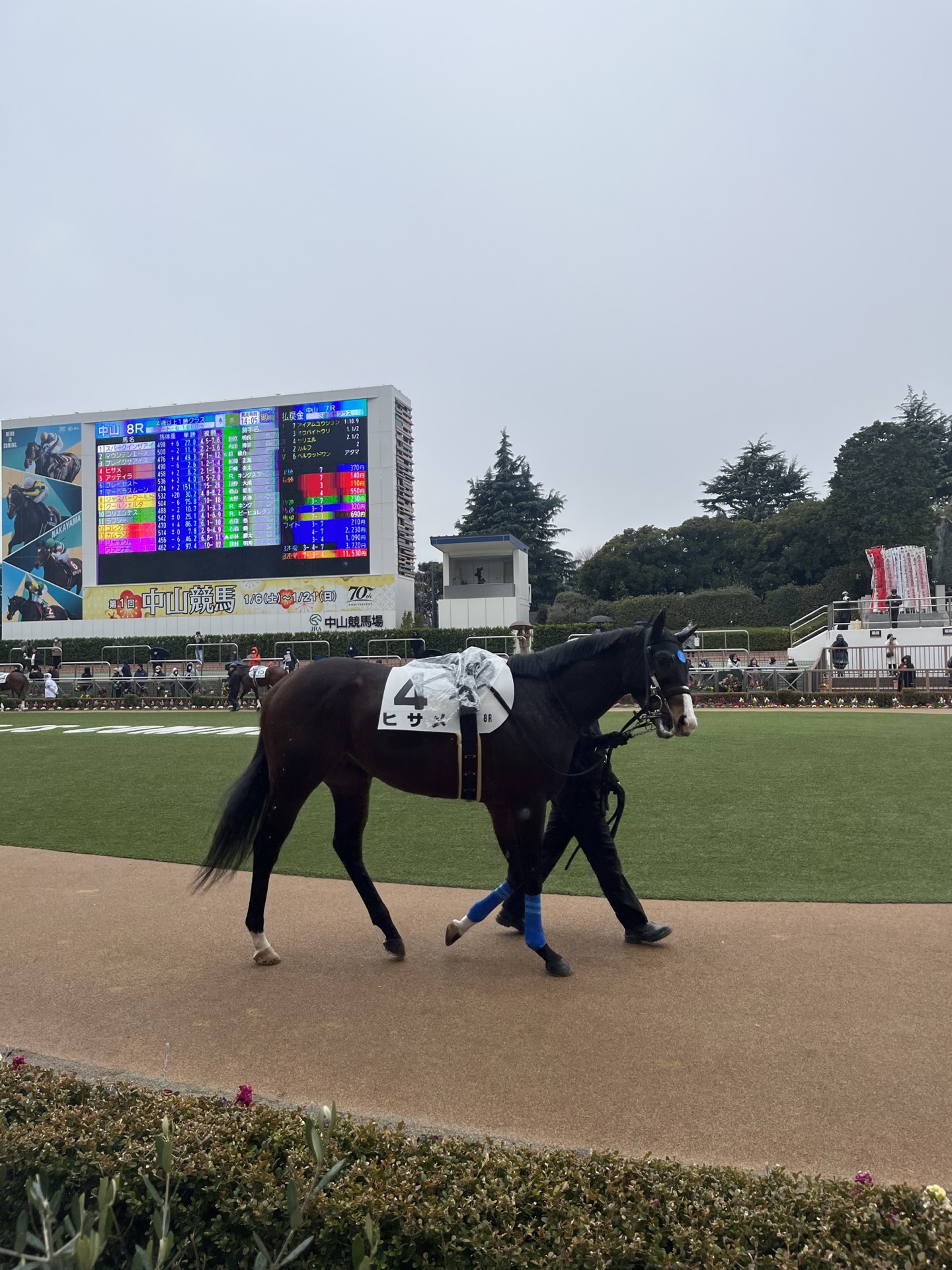 中山競馬場從看台往下望的全景,觀眾席、跑道與大型記分板一覽無遺