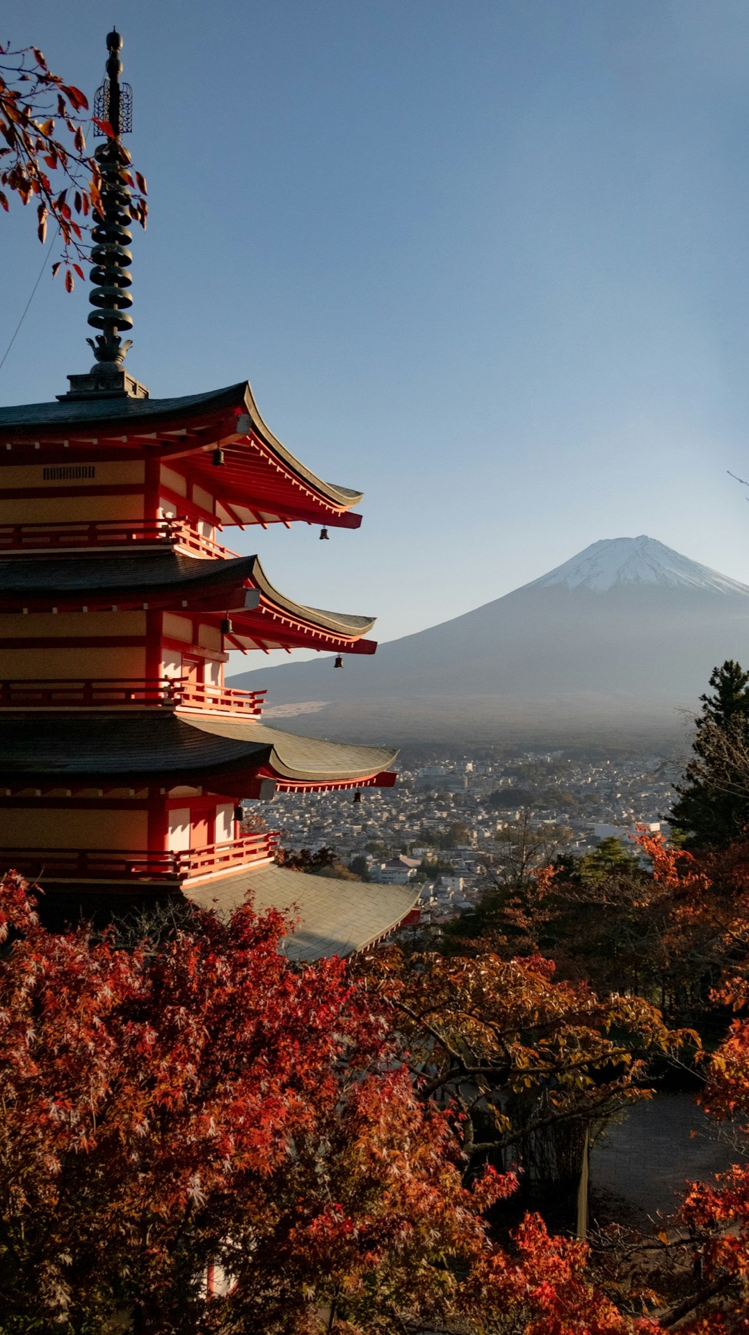 2026日本賞楓 紅葉 京都 楓葉最佳時期