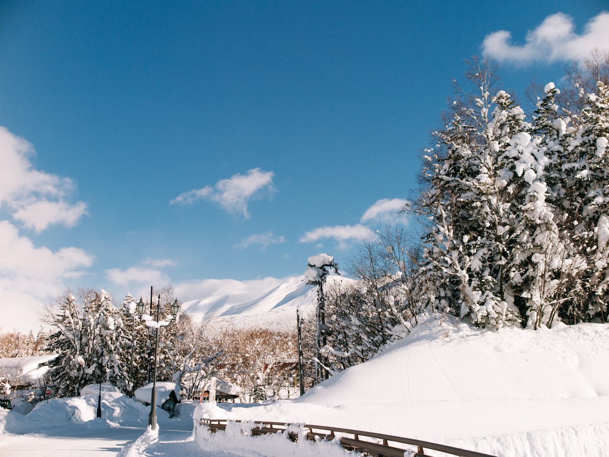 日本滑雪 北海道 粉雪 2026-2027 滑雪場推薦