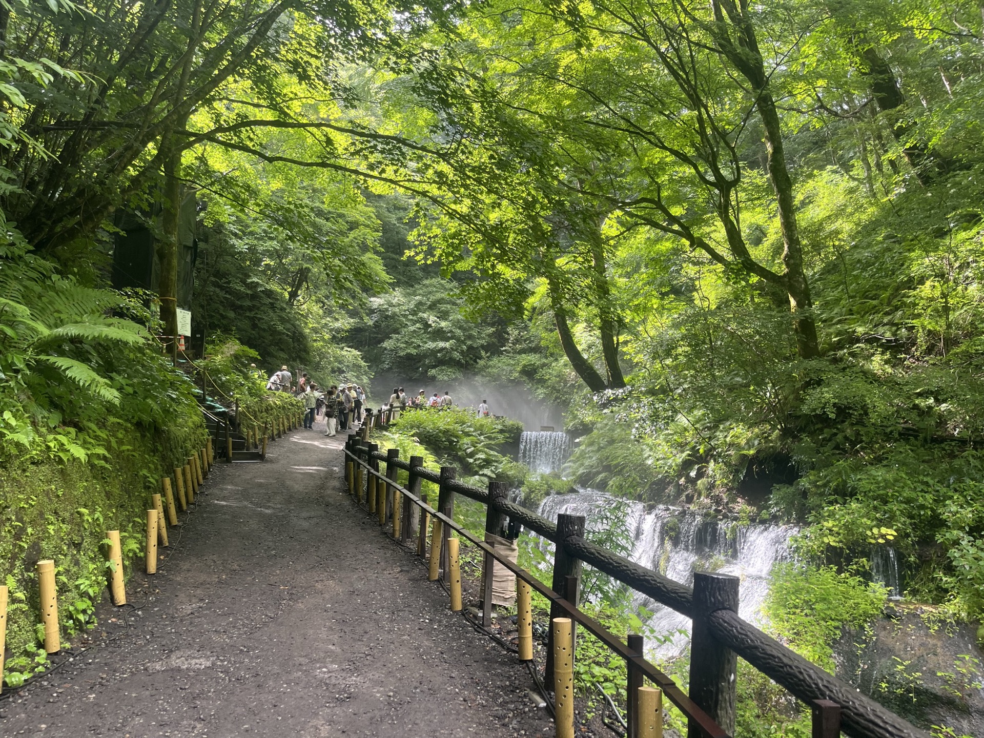 長野縣輕井澤白絲瀑布,半圓弧形岩壁湧出數十條細流形成水幕,濃霧瀰漫整個瀑布空間