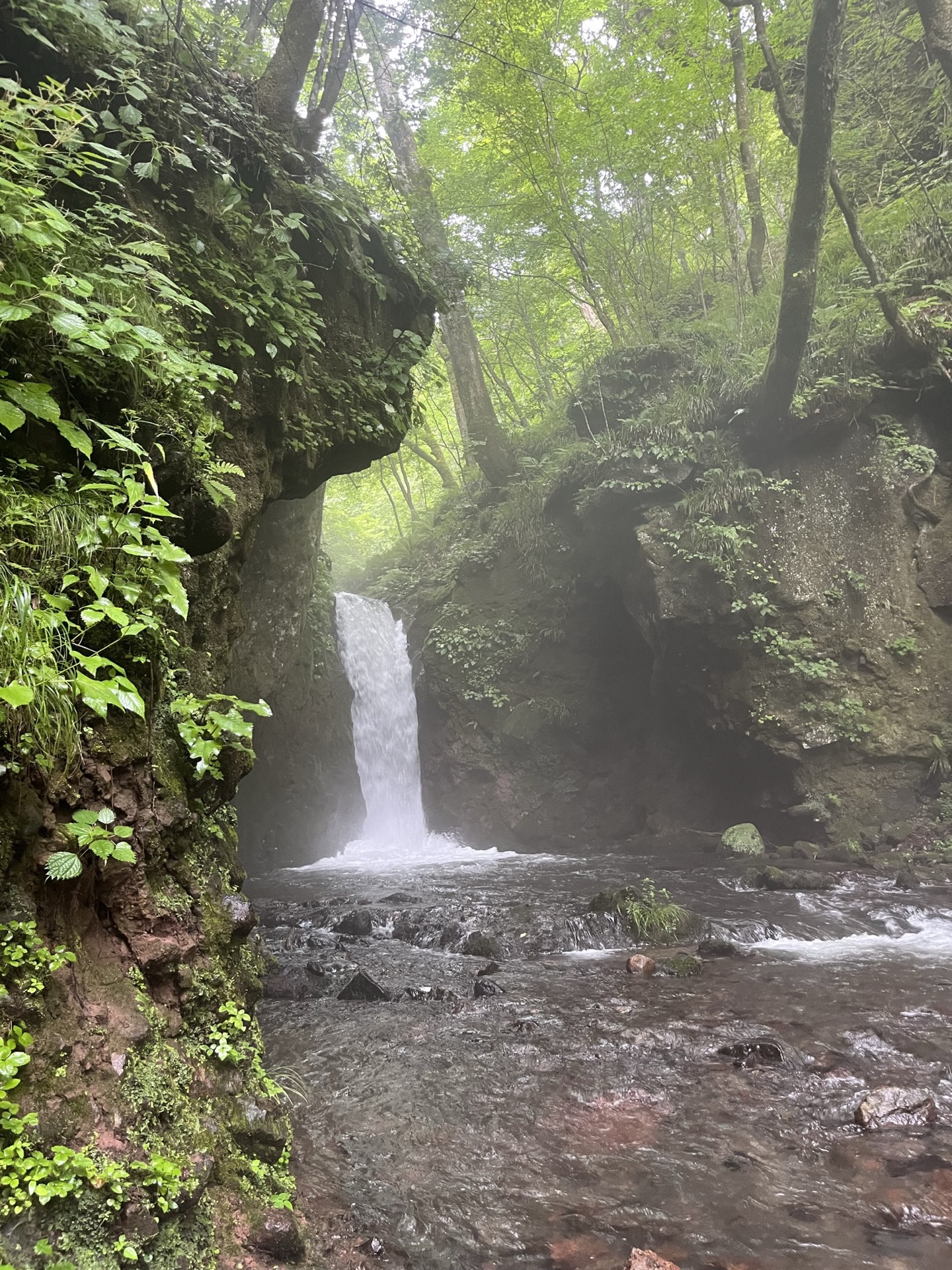 長野縣輕井澤白絲瀑布,半圓弧形岩壁湧出數十條細流形成水幕,濃霧瀰漫整個瀑布空間