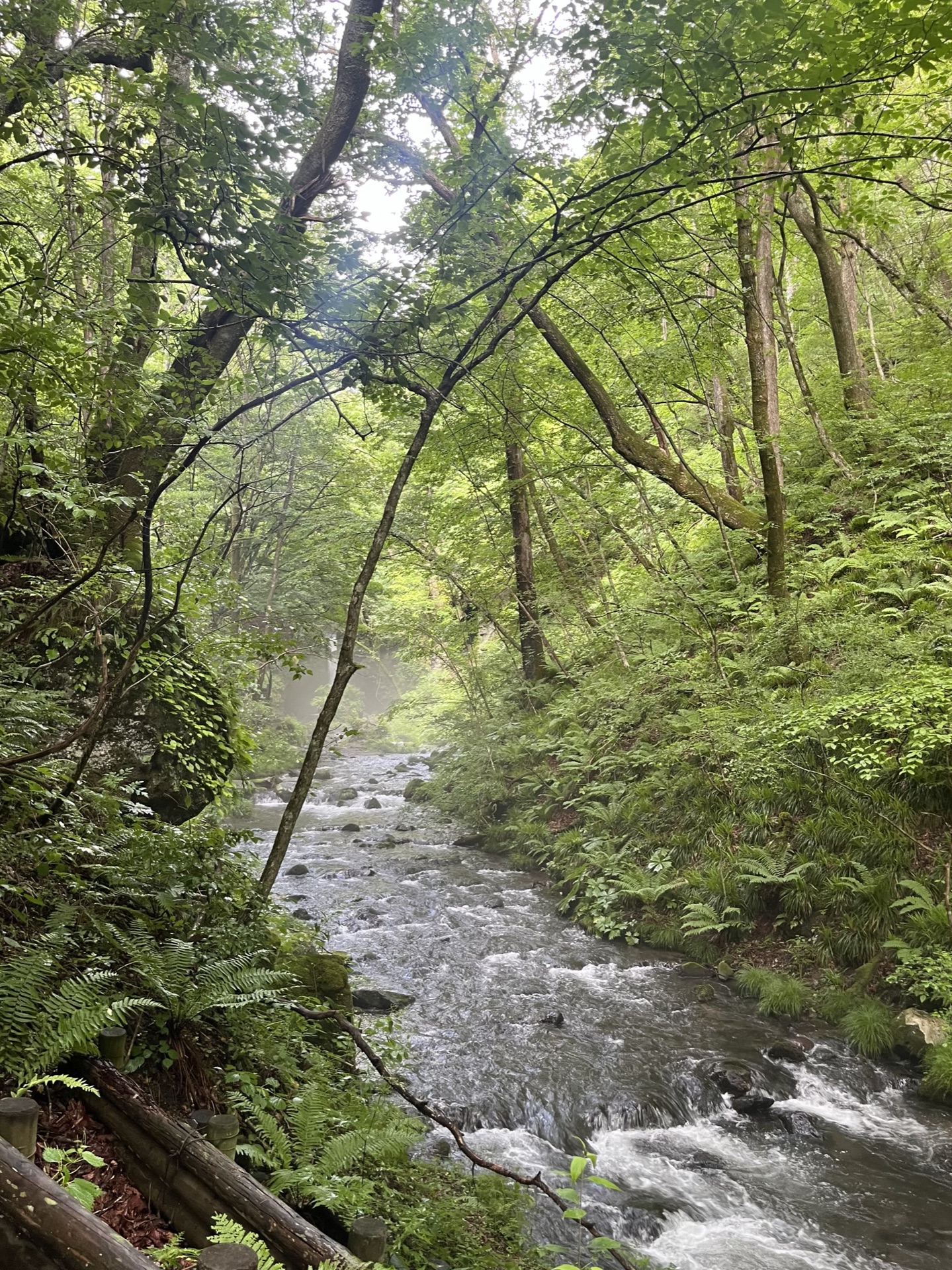 長野縣輕井澤白絲瀑布,半圓弧形岩壁湧出數十條細流形成水幕,濃霧瀰漫整個瀑布空間