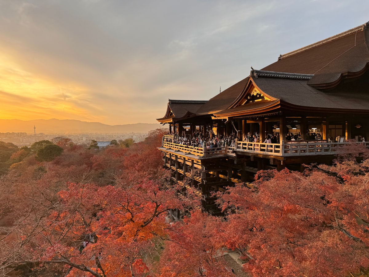 京都賞楓 嵐山 南禪寺 2026 楓葉
