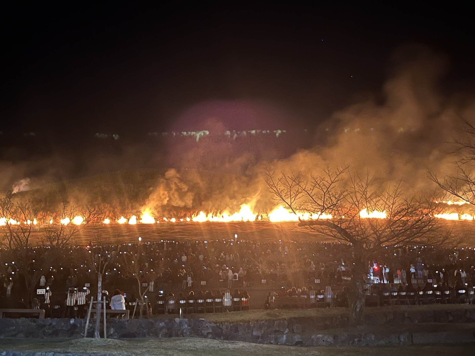若草山燒山祭,整片山坡火線延伸,山腳觀眾手機燈點點