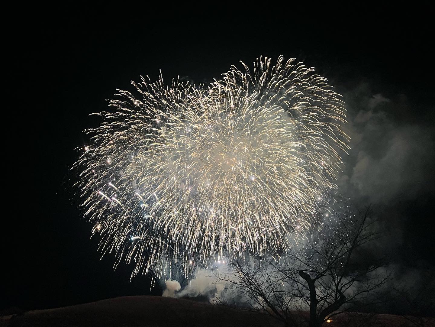 若草山燒山祭,整片山坡火線延伸,山腳觀眾手機燈點點