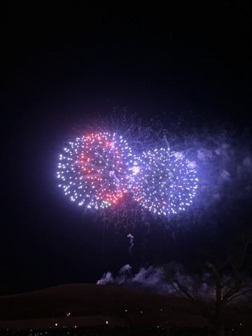 若草山燒山祭,整片山坡火線延伸,山腳觀眾手機燈點點